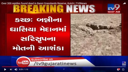Over 300 reptiles found dead in Banni Grasslands Reserve, Kutch - TV9News