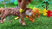 Farm Animals and Wild Animals Learn Animal Names With Toys
