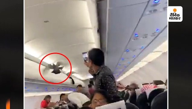 अहमदाबाद-जयपुर के लिए फ्लाइट में टेकऑफ के वक्त सेल्फ से निकले कबूतर 
