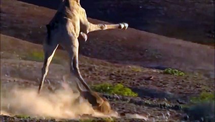 여수출장서비스 여수출장서비스O1OE6579E3382｛카톡COM23｝ 여수출장마사지샵 여수출장안마on여수출장안마cos여3♪⇔∃마사지황형♥≵≪