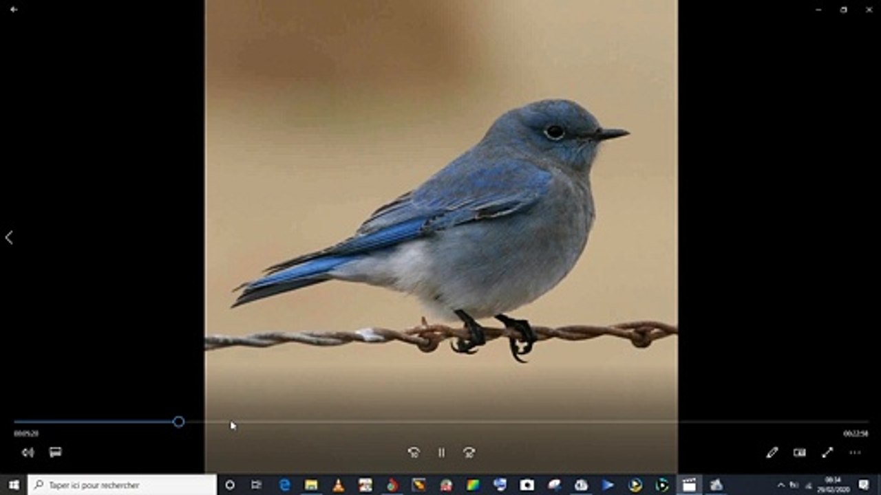 Mon Album : 'L'Oiseau bleu' suite (teaser)