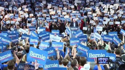 Bringt die "Bernie-Mania" Sanders ins Weiße Haus?