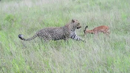 종로추천업소【OI0↔29O8↔68O③】종로추천업소예약♥≄≪