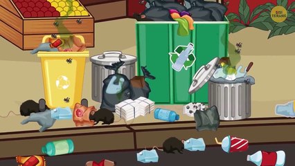 Inilah Alasan Kota-kota Besar Tidak Bisa Membasmi Tikus