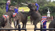 Samphran Elephant Ground, Off Bangkok, ThaCambodia30, 12 Jan 20
