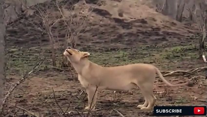 장성출장서비스 장성출장서비스O1OE2908E6803｛카톡ABC23｝ 장성출장마사지샵 장성출장안마on장성출장안마cos여3♪⇔∃마사지황형♥∌≪