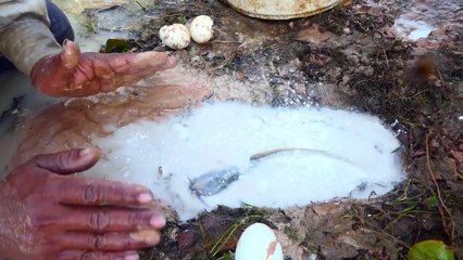 Unbelievable Fishing With Flour- Bhaesaj & Eggs Catch Fishes From Hole