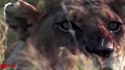 충남출장서비스 충남출장서비스O1Og2143g9131｛카톡KOM88｝ 충남출장마사지샵 충남출장안마on충남출장안마cos여3♪⇔∃마사지황형♥≊≪