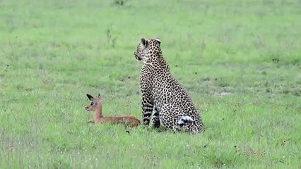 화천출장서비스 화천출장서비스O1OE2104E4640｛카톡GDS25｝ 화천출장마사지샵 화천출장안마on화천출장안마cos여3♪⇔∃마사지황형♥≓≪