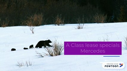 A Class lease specials Mercedes