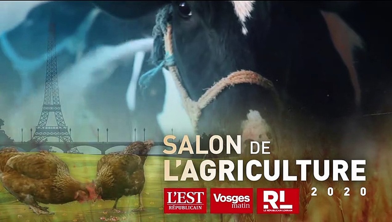 Salon de l'agriculture. Concours montbéliardes : les championnes sont du Doubs !