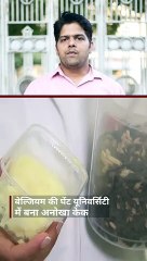 मक्खन की जगह लार्वे की चर्बी से बनाया केक