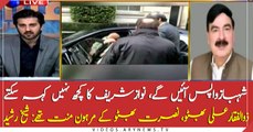 Shehbaz Sharif will return soon, can't say anything about Nawaz Sharif: Sheikh Rasheed