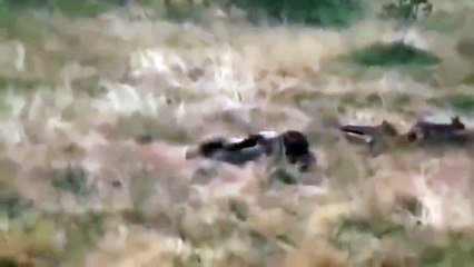 전북출장서비스 전북출장서비스O7Ox7722x8751 {카톡TQ94} 전북출장마사지샵 전북출장안마on전북출장안마cos여3♪⇔∃마사지황형♥≎≪