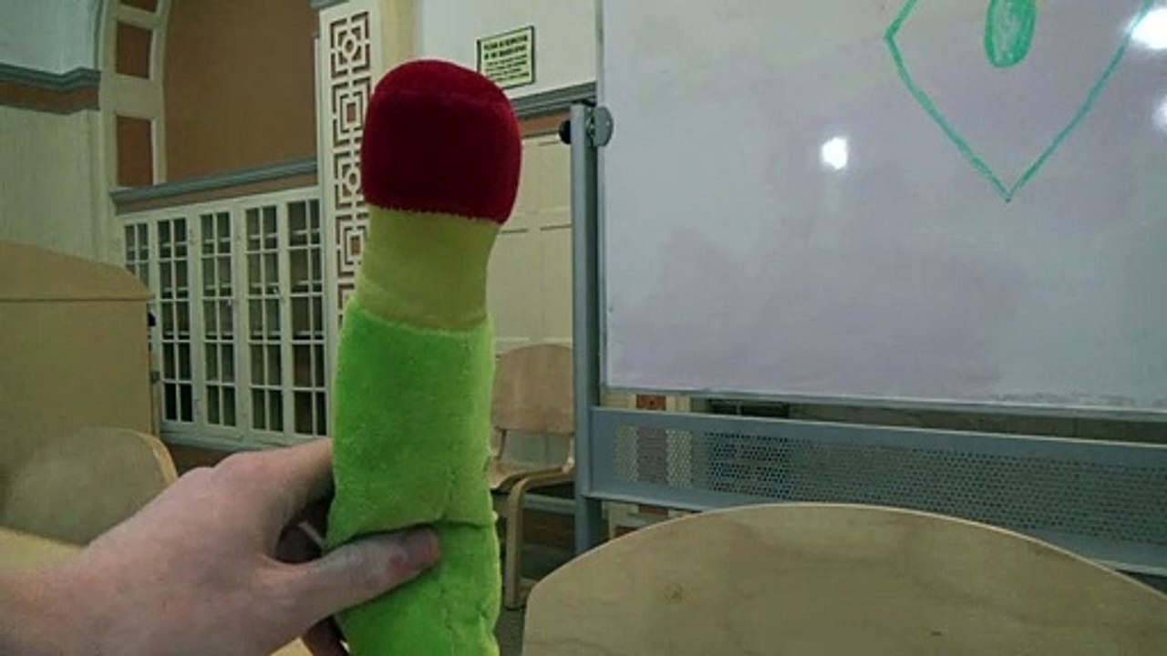 The Webkinz Show - dream.mp4