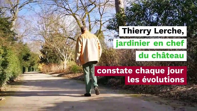 Les jardins du chateau de Fontainebleau face au réchauffement climatique