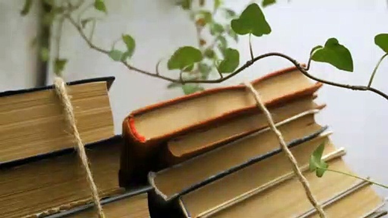 Laurent Guidali - Book and Tree Branch - Art/Nature (No Copyright Video 133) [4K]