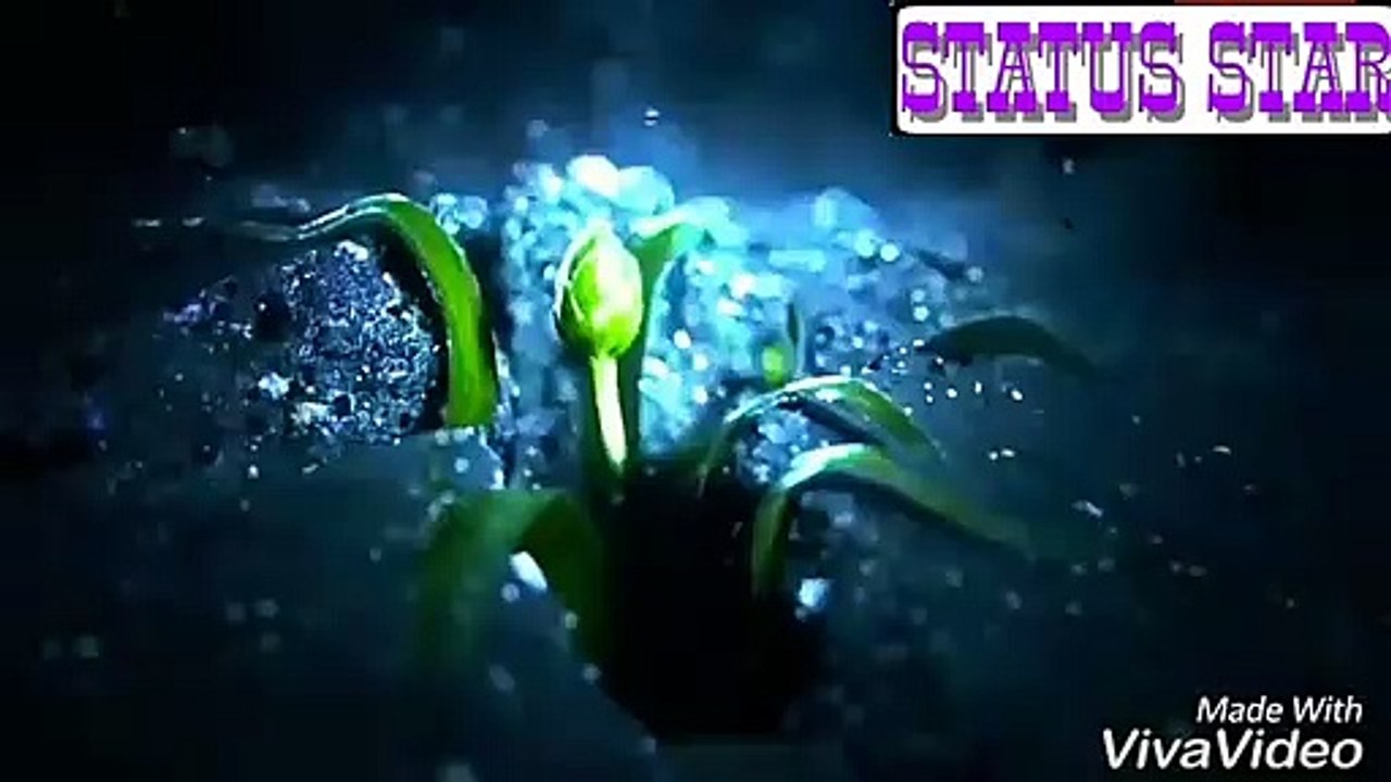 New WhatsApp status 2020