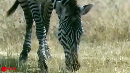 일산출장서비스 일산출장서비스O1Og2154g6609｛카톡LOT45｝ 일산출장마사지샵 일산출장안마on일산출장안마cos여3♪⇔∃마사지황형♥≭≪