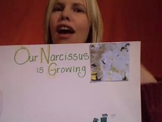 Flower Growing Child Activity Paper Whites Cullen's Abc's