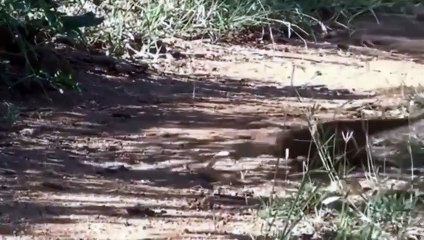 목포출장서비스 목포출장서비스O1Og4832g2166｛카톡QQ565｝ 목포출장마사지샵 목포출장안마on목포출장안마cos여3♪⇔∃마사지황형♥◉≪