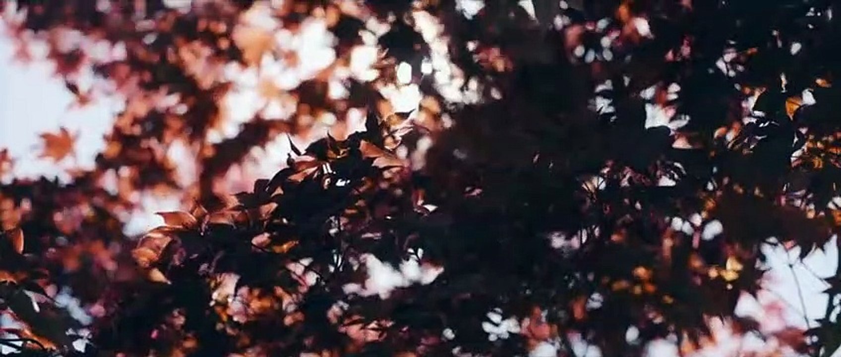 تلاوة نادرة للشيخ عبدالباسط من سورة القصص