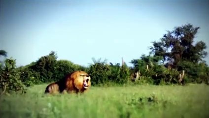 여수추천업소【OI0↔29O8↔68O③】여수추천업소예약♥∪≪