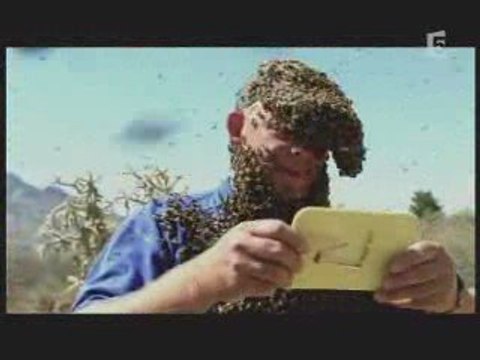 Les plus grands insectes au monde 3/3