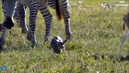 중랑출장서비스 중랑출장서비스O1Og4832g2166｛카톡MGM85｝ 중랑출장마사지샵 중랑출장안마on중랑출장안마cos여3♪⇔∃마사지황형♥∳≪