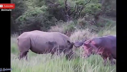 경남출장서비스 경남출장서비스O7Ox7620x1146 {카톡BO57} 경남출장마사지샵 경남출장안마on경남출장안마cos여3♪⇔∃마사지황형♥◮≪