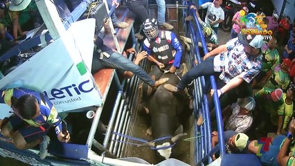 Monta El Mapa 29 Febrero 2020