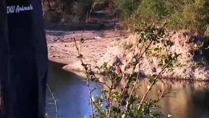 예산추천업소【OI0↔29O8↔68O③】예산추천업소예약♥◚≪