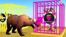 Wrong Fruits Colors Drop on Road for Animals and Cages Cartoon for Children