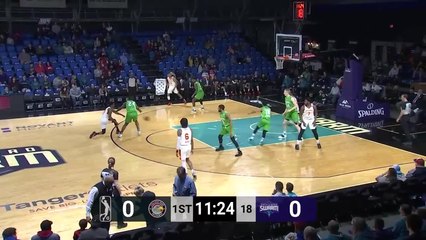 Cat Barber (25 points) Highlights vs. Greensboro Swarm
