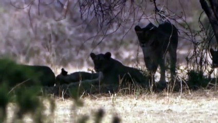 고흥출장서비스 고흥출장서비스O7Ox5180x1619 {카톡OP41} 고흥출장마사지샵 고흥출장안마on고흥출장안마cos여3♪⇔∃마사지황형♥≀≪