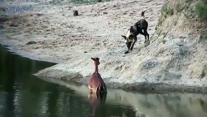 애월추천업소【OI0↔29O8↔68O③】애월추천업소예약♥◍≪