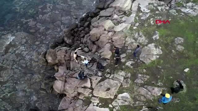 Çanakkale ayvacık -can güvenlikleri olmayan göçmenleri sahil güvenlik kurtardı-1