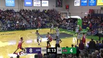 Caleb Martin NBA G League Highlights: February 2020