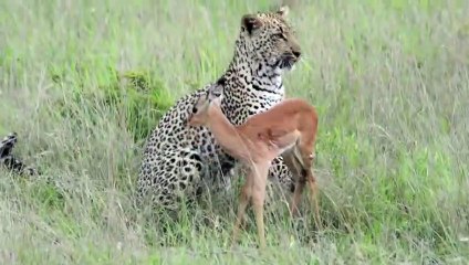 충주추천업소【OI0↔29O8↔68O③】충주추천업소예약♥⊔≪