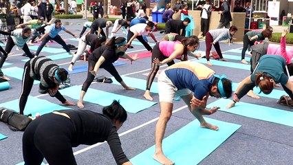 International Yoga Week 2020: योग करने से पहले जरुर रखे इन बातों का ध्यान । Boldsky