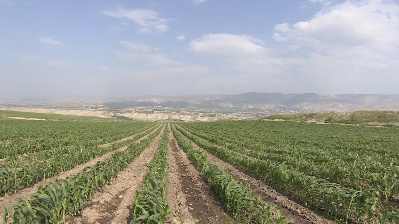 ضم الأغوار الفلسطينية إلى إسرائيل.. مخاوف من فصل الأردن عن فلسطين