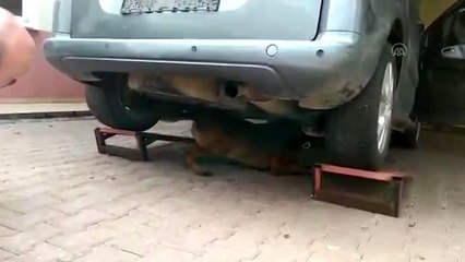 Araca gizlenmiş 14 kilo 650 gram esrar bulundu