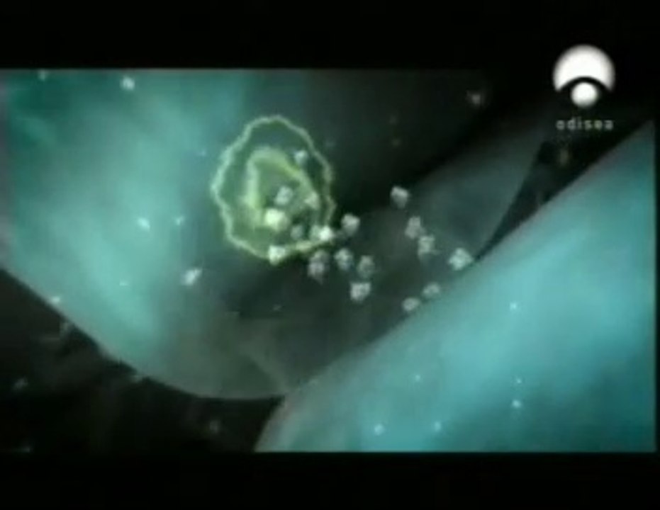 Dopamina y aprendizaje: Lobulo frontal