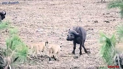 안동출장서비스 안동출장서비스O1OE9914E7203｛카톡MOK8｝ 안동출장마사지샵 안동출장안마on안동출장안마cos여3♪⇔∃마사지황형♥∢≪