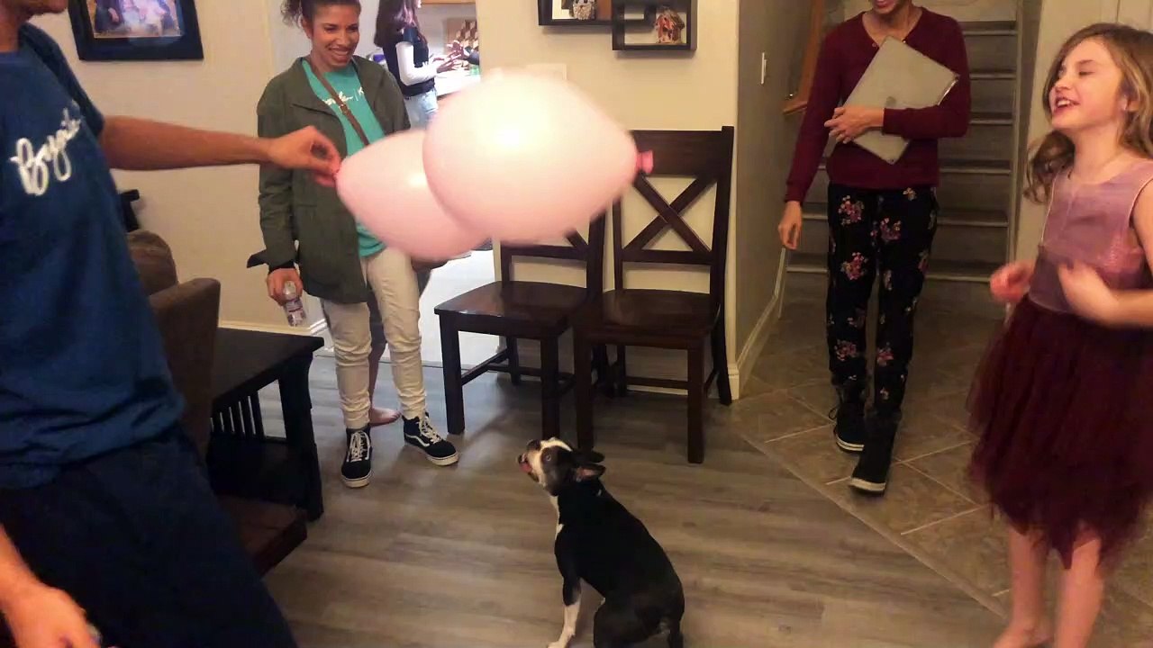 Sammy's Got Talent!