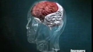 Etica y cerebro: Corteza orbitofrontal (Antonio Damasio)