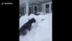 Child cannonballs into huge Canadian snowdrift