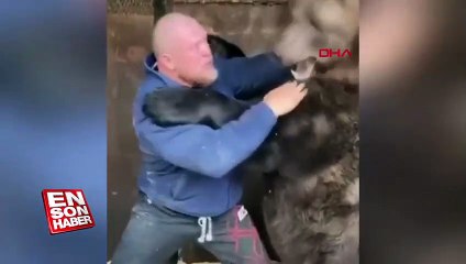 Rus dövüşçü ayıyla antrenmanını sosyal medyada paylaştı