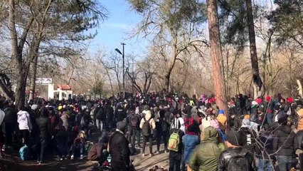 Düzensiz göçmenlerin Edirne'ye gelişi devam ediyor (4)