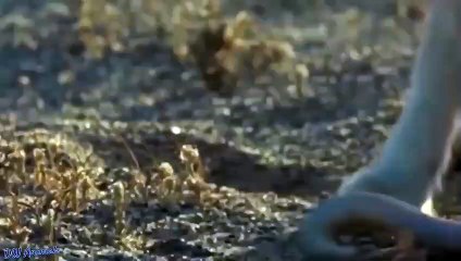 수지출장서비스 수지출장서비스O1Og2143g9131｛카톡UOM7｝ 수지출장마사지샵 수지출장안마on수지출장안마cos여3♪⇔∃마사지황형♥≎≪